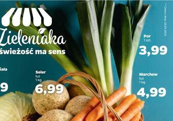 Netto Por oferta