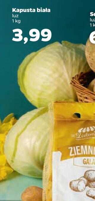 Netto Kapusta biała oferta