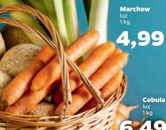Netto Marchew oferta