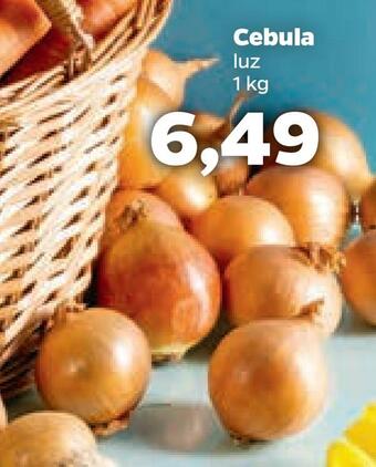 Netto Cebula oferta