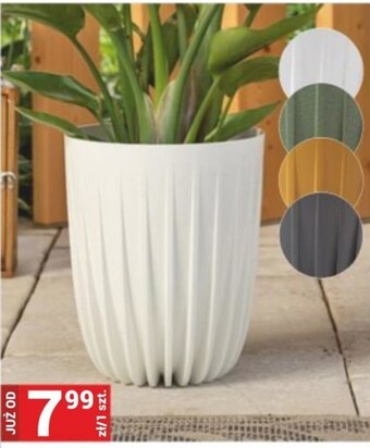 Merkury Market Doniczka oferta