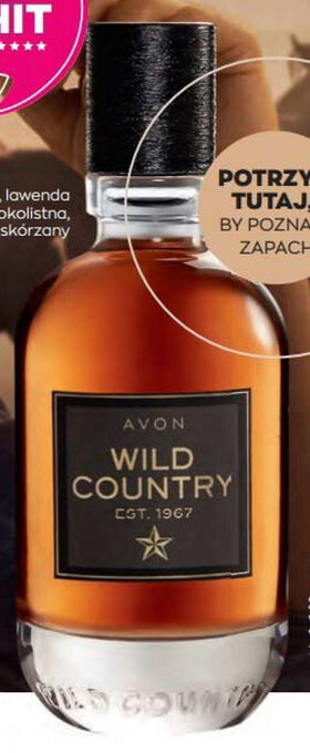 Avon Woda toaletowa dla mężczyzn avon oferta