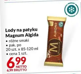 Makro Algida Magnum Lody na patyku 85-120ml oferta