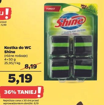 Netto Kostka do spłuczki forest green shine classic oferta