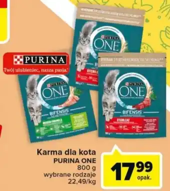 Carrefour Purina Karma dla kota 800g oferta