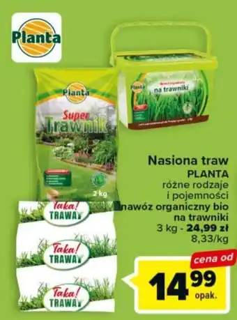 Carrefour Planta nasiona traw 3kg oferta