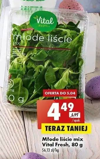 Biedronka Vital Fresh Młode liście mix 80g oferta