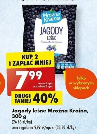 Biedronka Mroźna Kraina Jagody leśne 300g oferta