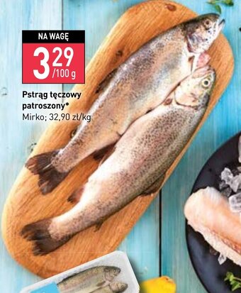 Stokrotka Mirko Pstrąg tęczowy patroszony 100g oferta