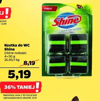Netto Kostka do spłuczki forest green oferta