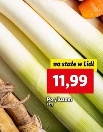 Lidl Por oferta