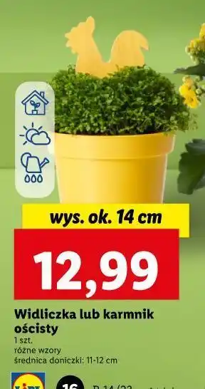 Lidl Karmnik ościsty oferta