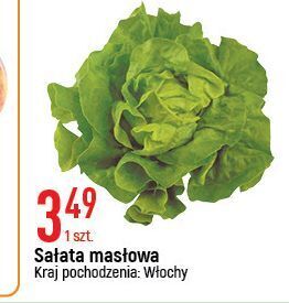 E.Leclerc Sałata masłowa oferta