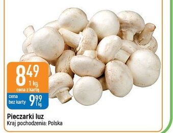 E.Leclerc Pieczarki oferta