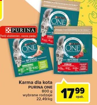 Carrefour Karma dla kota sterilcat wołowina i pszenica purina one oferta