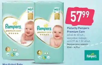 Stokrotka Pampers Pieluchy Premium Care oferta