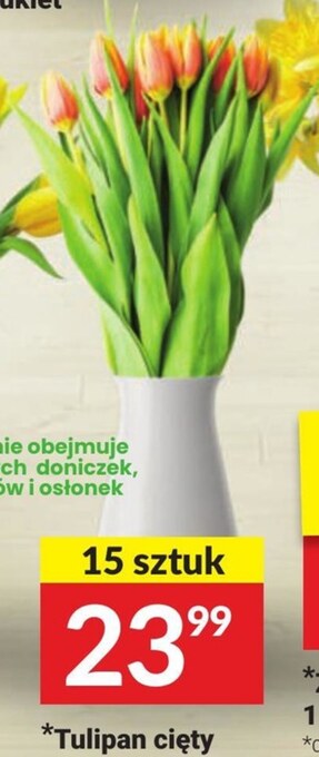 Twój Market Bukiet tulipanów oferta