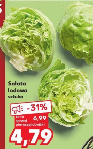 Kaufland Sałata lodowa oferta