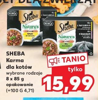 Kaufland Karma dla kota mix smaków sheba nature's collection oferta