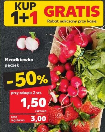 Kaufland Rzodkiewka oferta