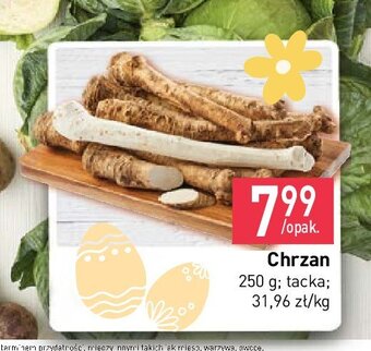 Stokrotka Chrzan oferta