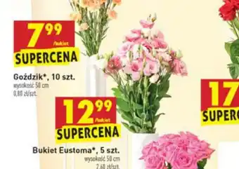 Biedronka Bukiet Eustoma 5szt. oferta