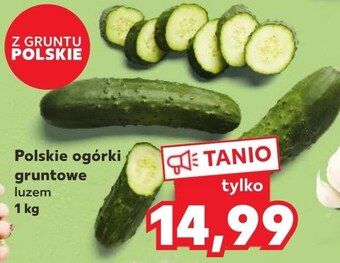 Kaufland Ogórek oferta