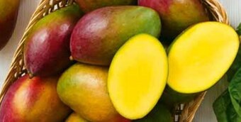 Stokrotka Market Mango oferta