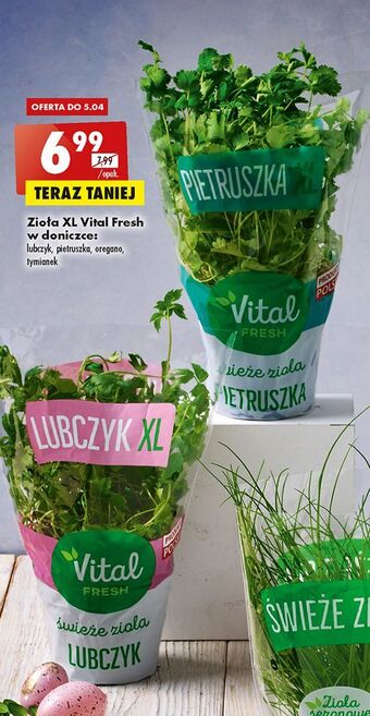 Biedronka Pietruszka vital fresh oferta