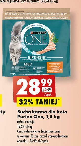 Biedronka Karma dla kota adult kurczak i pełne ziarna purina one oferta