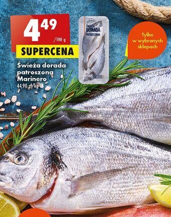 Biedronka Dorada patroszona świeża marinero oferta