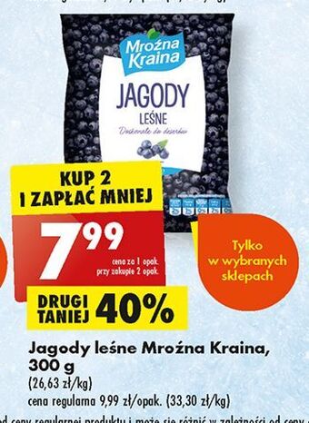 Biedronka Jagody leśne mroźna kraina oferta