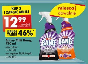 Biedronka Spray do czyszczenia cillit bang koniec z pleśnią oferta