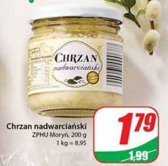 Dino Chrzan nadwarciański moryń oferta