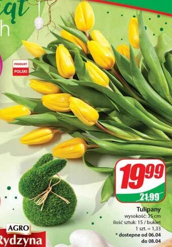 Dino Tulipany oferta