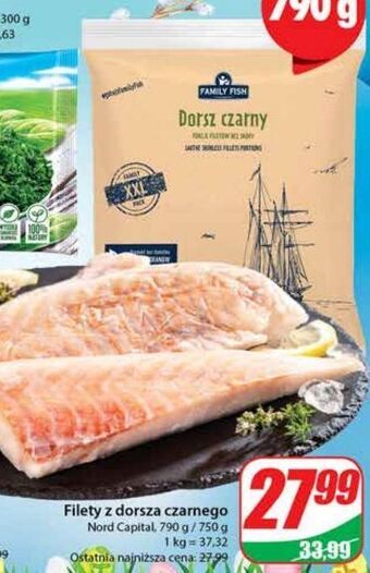 Dino Dorsz czarny filety family fish oferta