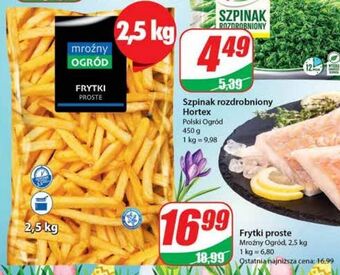 Dino Frytki proste mroźny ogród oferta