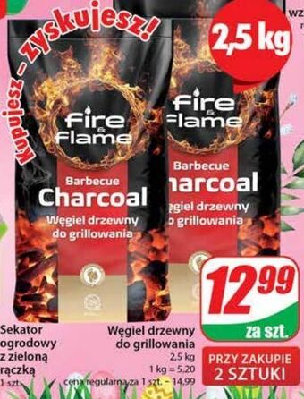 Dino Węgiel drzewny fire & flame oferta