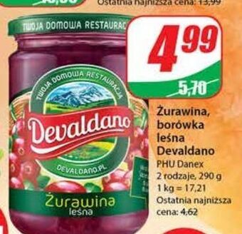 Dino Żurawina leśna devaldano oferta