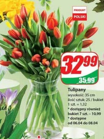 Dino Tulipany 35 cm oferta