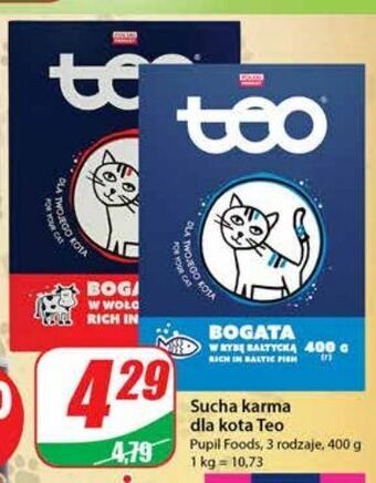 Dino Karma dla kota z rybą teo oferta