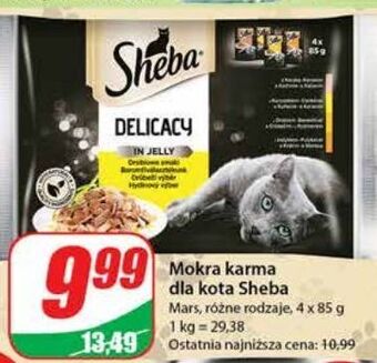 Dino Karma dla kota smaki drobiowe sheba delicacy in jelly oferta