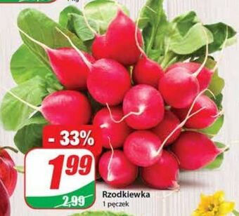 Dino Rzodkiewka oferta