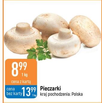 E.Leclerc Pieczarki oferta