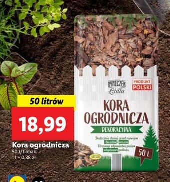 Lidl Kora ogrodnicza dekoracyjna ryneczek lidla oferta