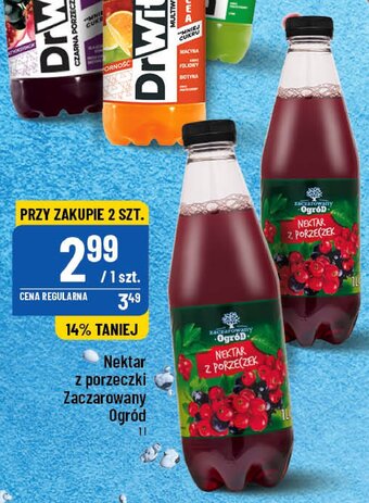 Polomarket Nektar czarna porzeczka oferta