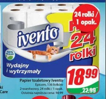 Dino Papier toaletowy oferta