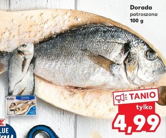 Kaufland Dorada patroszona oferta