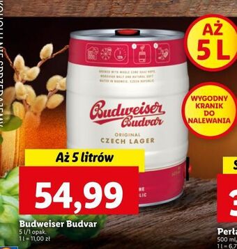 Lidl Piwo b: original budweiser budvar oferta