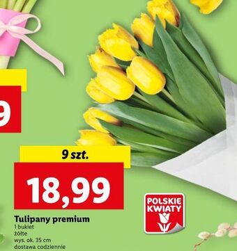 Lidl Tulipany oferta